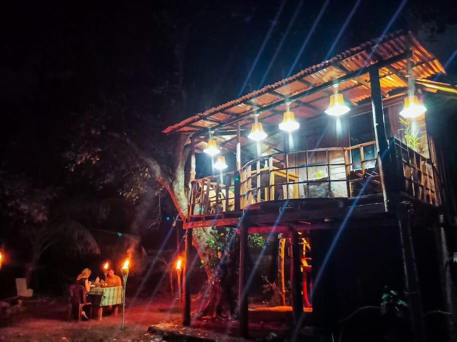 Experience The Comforts Of An Amazing Treehouse 시기리야 외부 사진