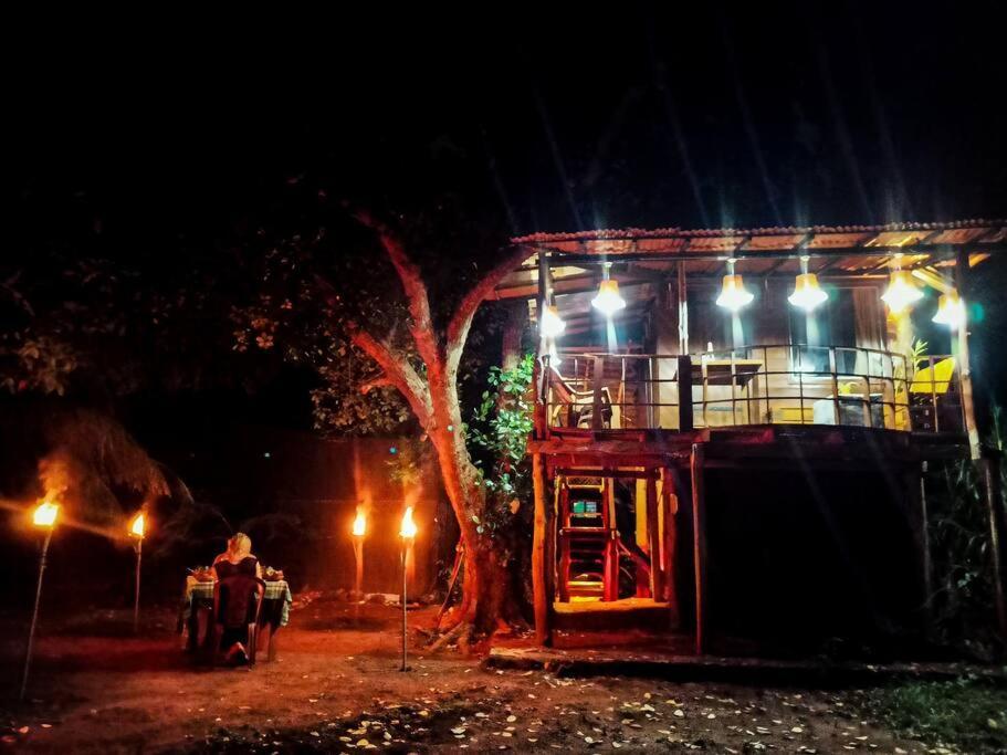 Experience The Comforts Of An Amazing Treehouse 시기리야 외부 사진