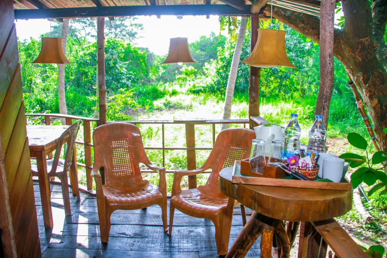 Experience The Comforts Of An Amazing Treehouse 시기리야 외부 사진