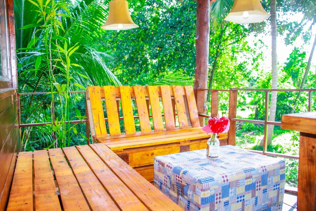 Experience The Comforts Of An Amazing Treehouse 시기리야 외부 사진