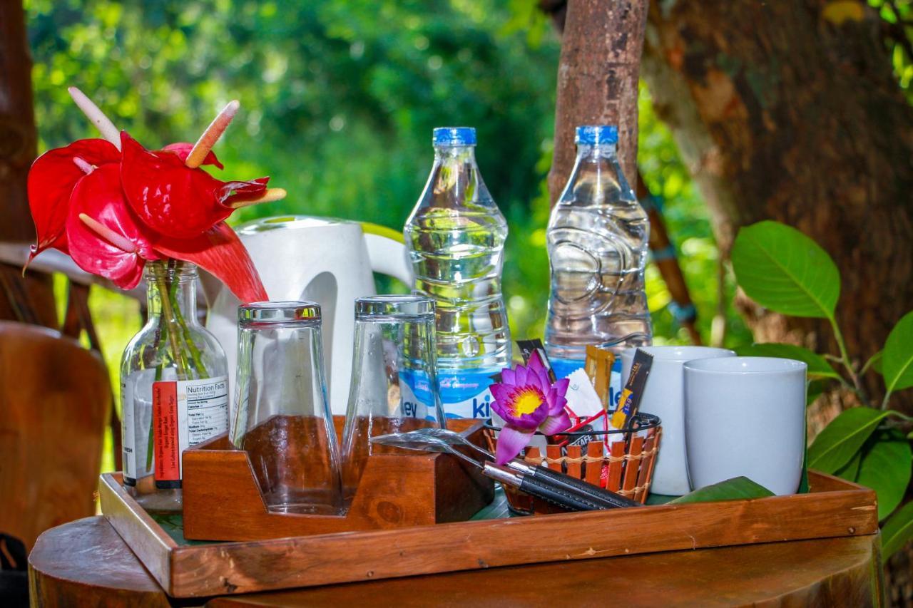 Experience The Comforts Of An Amazing Treehouse 시기리야 외부 사진