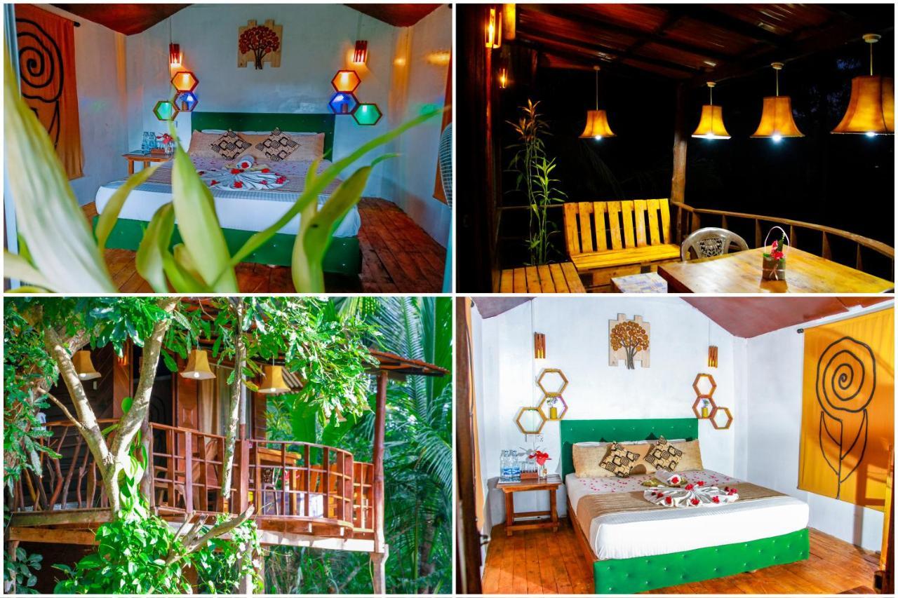 Experience The Comforts Of An Amazing Treehouse 시기리야 외부 사진