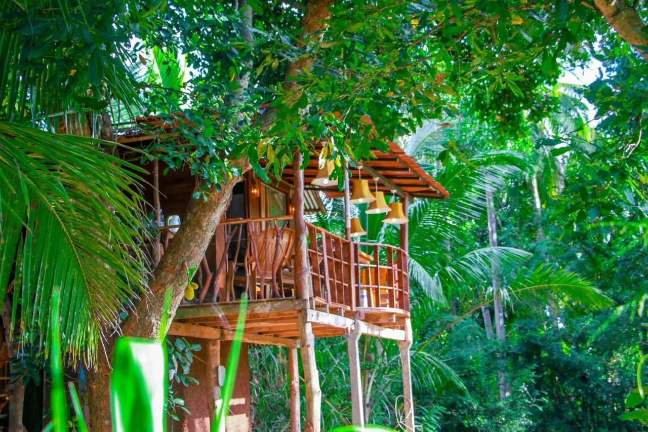 Experience The Comforts Of An Amazing Treehouse 시기리야 외부 사진